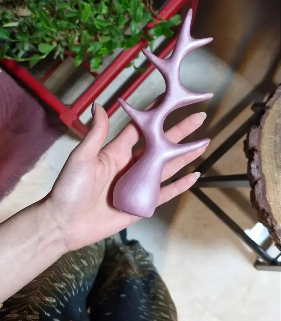 درخت اکسستوری 